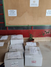 Recogida de alimentos